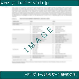 グローバルリサーチ調査資料のイメージ